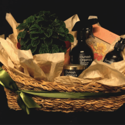 Plant Lovers Hamper