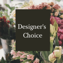 Pot ARRANGEMENT Florist Choice (bright)