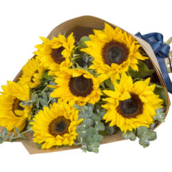 Sunflowers With Foliage