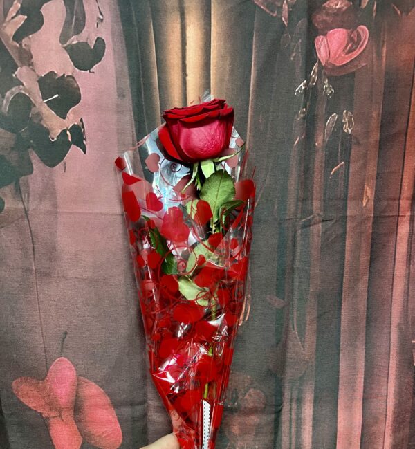 Single Premium Gift Wrapped Rose