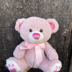 *Large Pink Teddy Bear