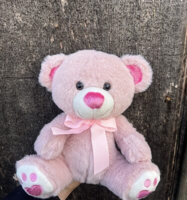 *Large Pink Teddy Bear