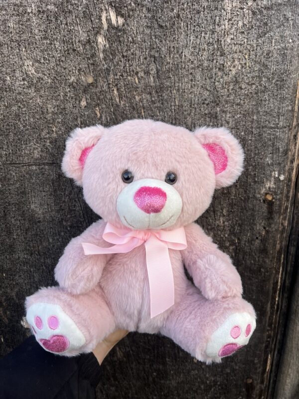 *Large Pink Teddy Bear