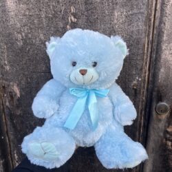 *Large Blue Teddy Bear