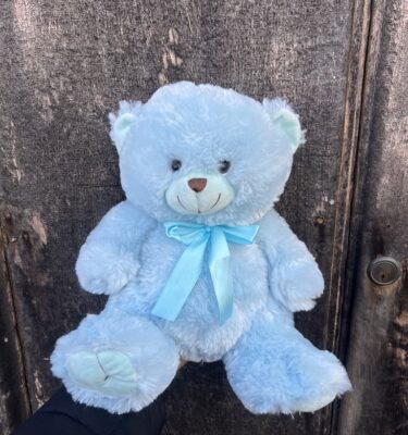 *Large Blue Teddy Bear