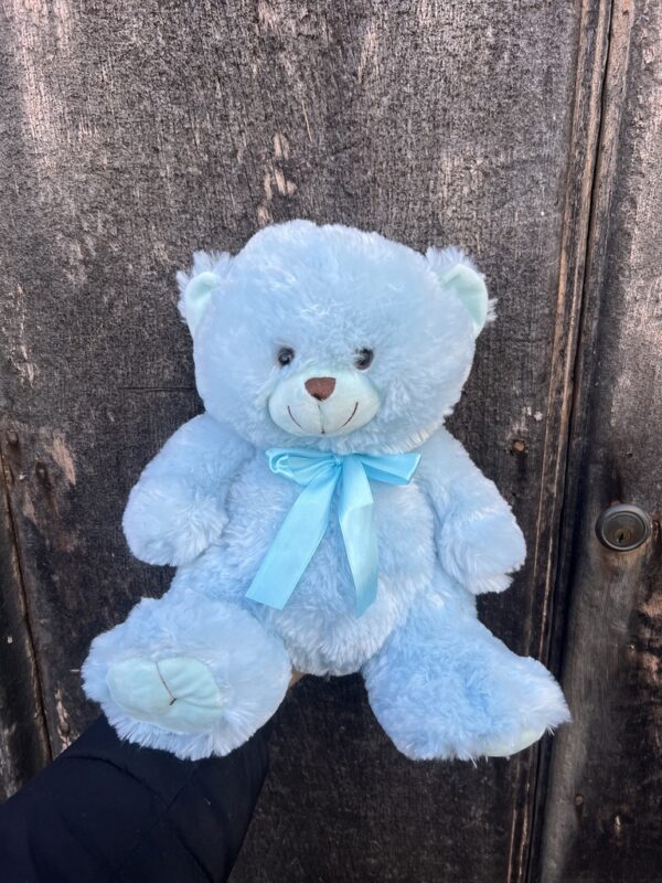 *Large Blue Teddy Bear