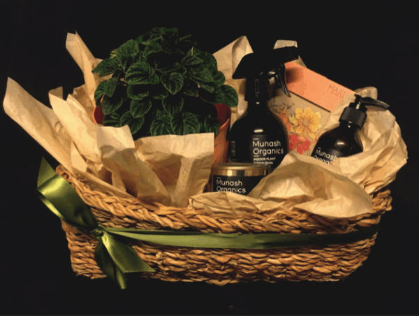Plant Lovers Hamper