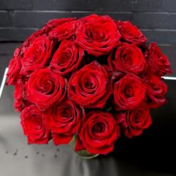 20 Red Rose Bouquet