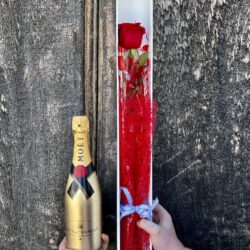 Gift Boxed Red Rose with Moet Champagne