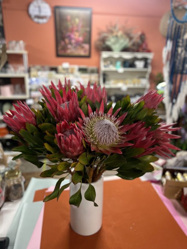 6 Premium King Proteas (Gift Wrapped)