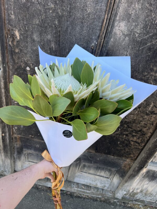 3 Large Premium King Protea White - Image 2