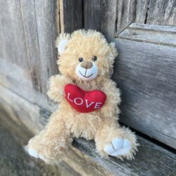 Love Heart Teddy Bear