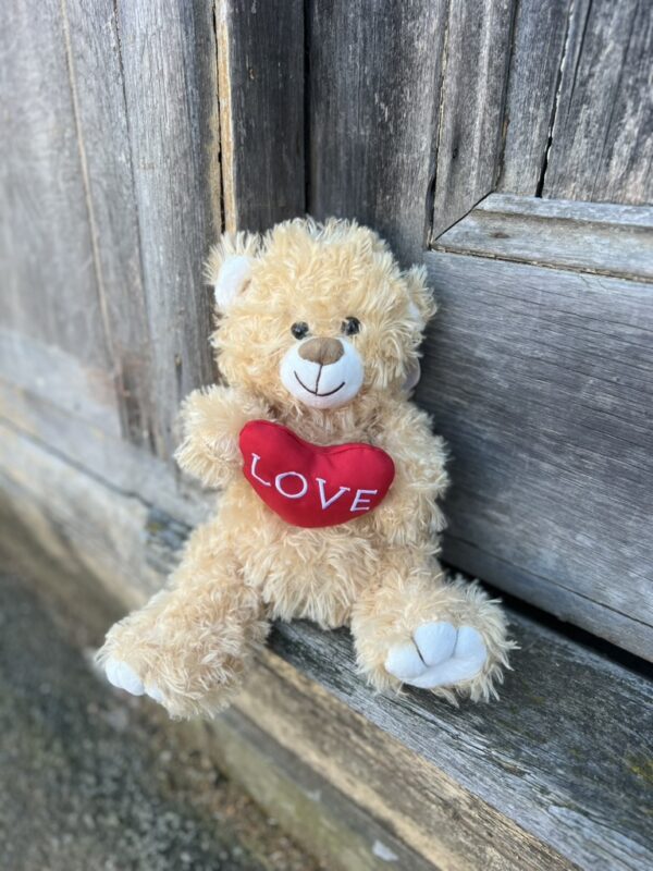 Love Heart Teddy Bear